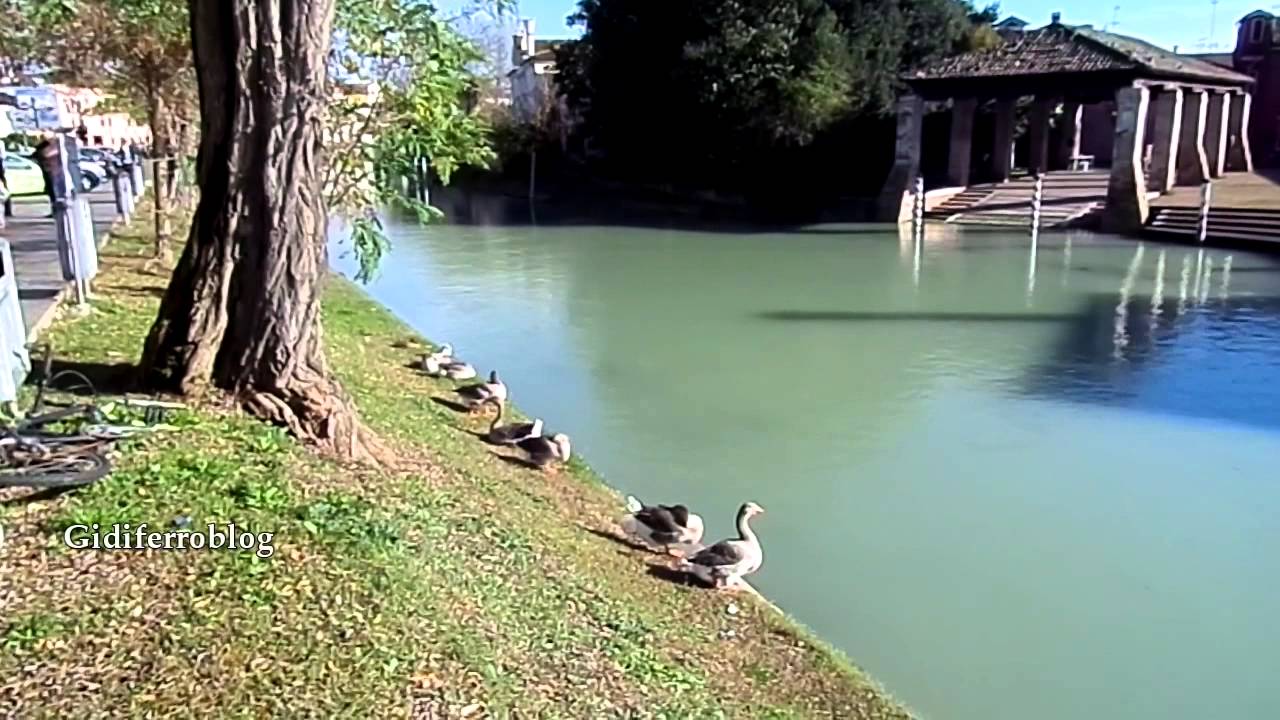 E le Oche stanno a guardare. Dolo-Venezia - YouTube