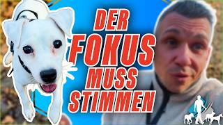 Fangt Doch Erstmal Bei Der Grundlage An