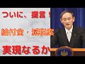 【持続化給付金・定額給付金・減税案】ついに、若手自民党議員らが50兆円規模の補正予算案をベテラン議員に提言！完全解説します。