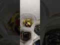 betta fish tremendous colour and activeness #betta fish hobbyist sk aquatic classical fish shorts 🐬
