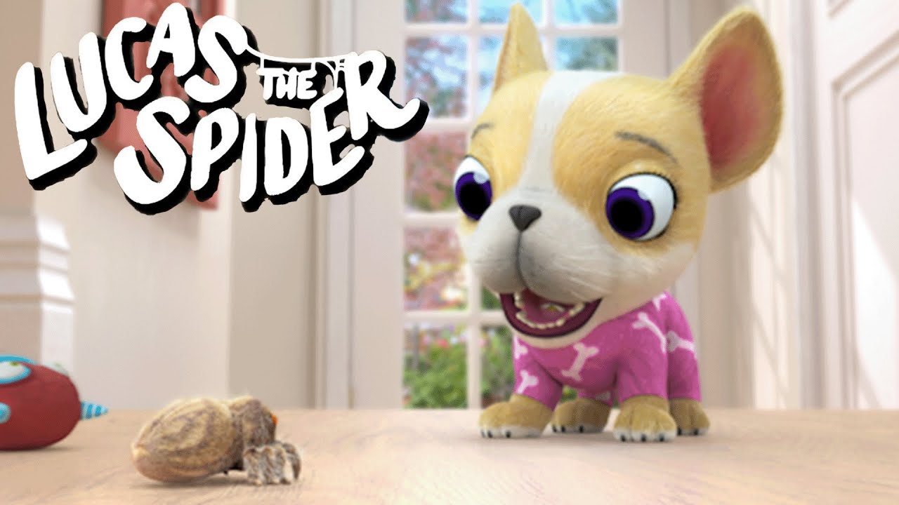 Watch Out for Avocado on Lucas the Spider