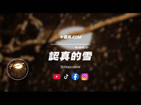 認真的雪/中國風.EDM|原唱：薛之謙｜『愛得那麽深 愛得那麽認真可還是聽見了你說不可能』