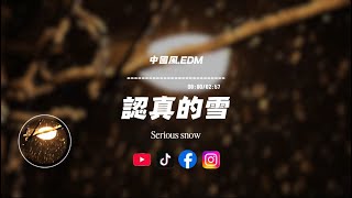 認真的雪/中國風.EDM|原唱：薛之謙｜『愛得那麽深 愛得那麽認真可還是聽見了你說不可能』