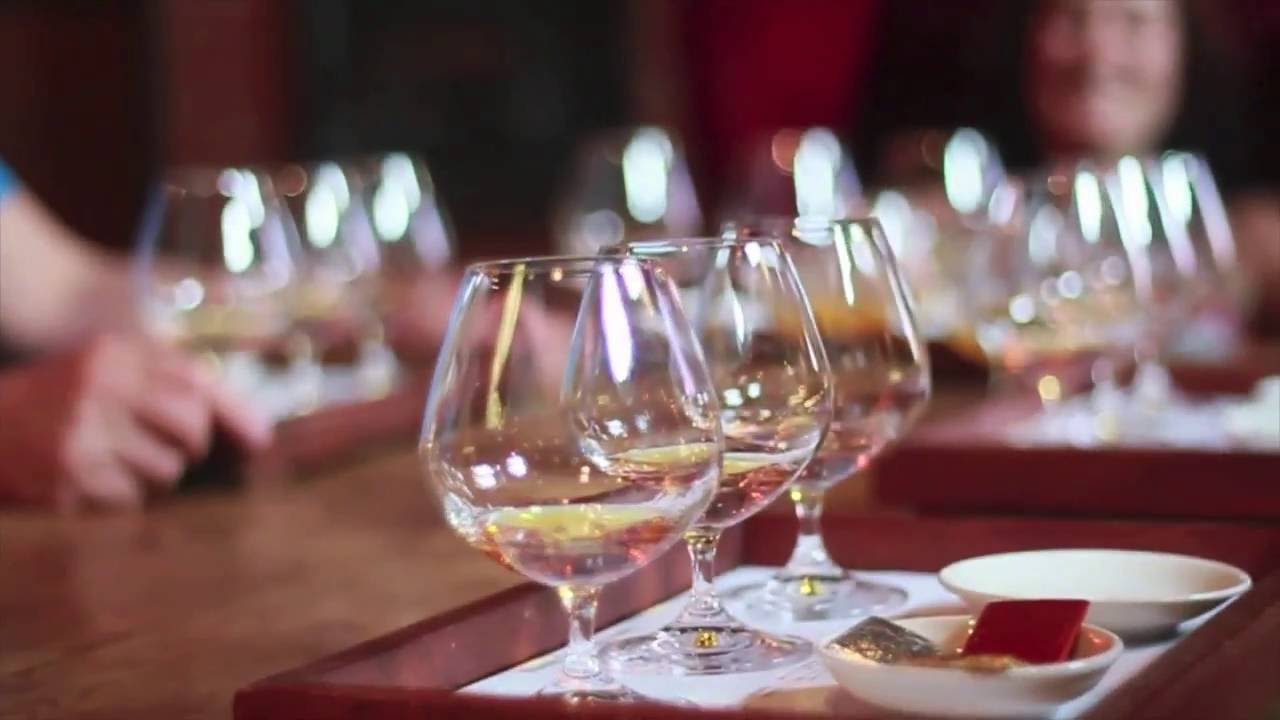 Bikesnwines Winelands Bike Tours