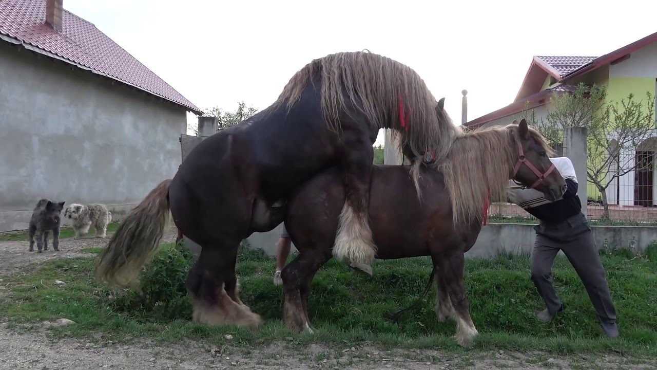 Femeie care cauta locuin a de om femeie bogata bogata in cautarea unui om