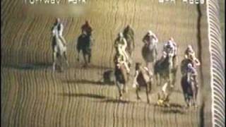 horse in deer race