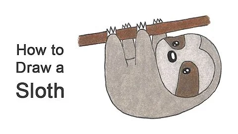 How to Draw a Sloth (Cartoon)