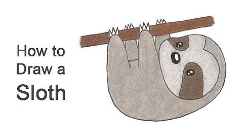 How to Draw a Sloth (Cartoon)