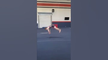 Floor - Whip, 2 1/2, Front Layout - Skylar Graves