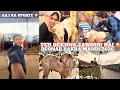 Deonar Bakra Mandi 2026 Today 🐐 | Latest Update | Bakra Mandi Mumbai