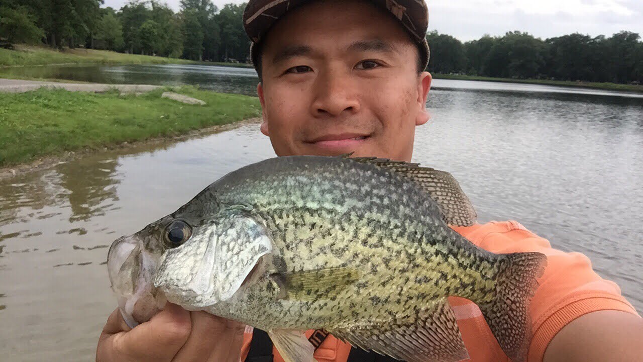 Summer crappie fishing from the bank Clearance