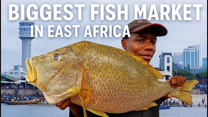 Tanzania's Biggest Fish Market!! Dar es salaam's Seafood Paradise