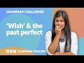 Grammar challenge: &#39;Wish&#39; &amp; the past perfect