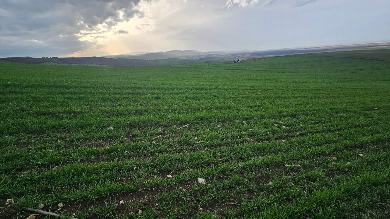 Satılık deniz manzaralı  35 dönüm tarla
