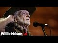 Willie Nelson on Donald Trump's Presidency and Jeff Sessions' Policy on Pot