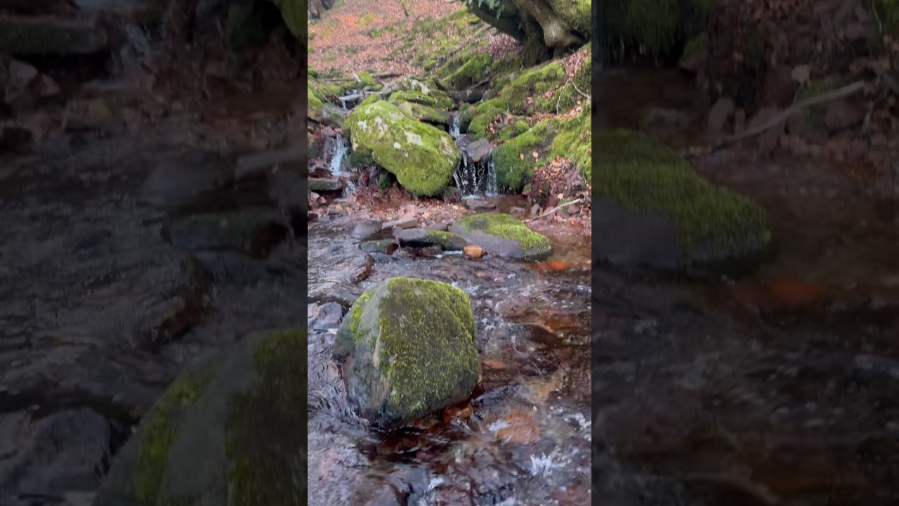 AGUA Limpia y Pura #agua #pura #rio #ultzama #navarra