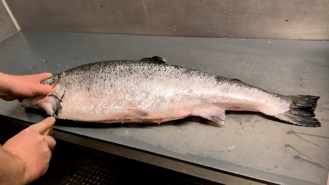 Smoked Salmon 🐟 السلمون المدخن