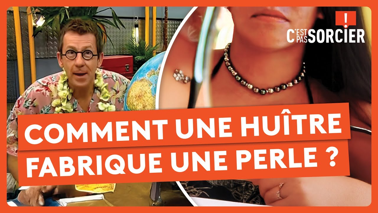 Comment une huître fabrique une perle ? - C'est pas sorcier