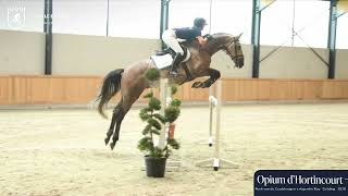 Video Opium d'Hortincourt