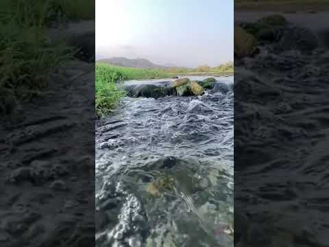 احس في حسك و نجواك و اجر صوتي و تلحيني