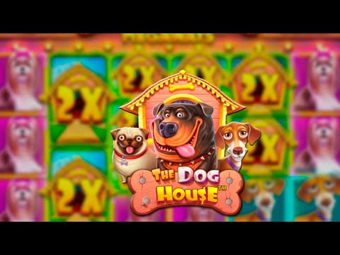 Видео: Я НЕ ПОВЕРИЛ ТАКОМУ ЗАНОСУ В DOG HOUSE MEGAWAYS (НЕОЖИДАННО)🔥