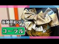 振袖帯結び【コーラル】　ヒダが華やか・豪華