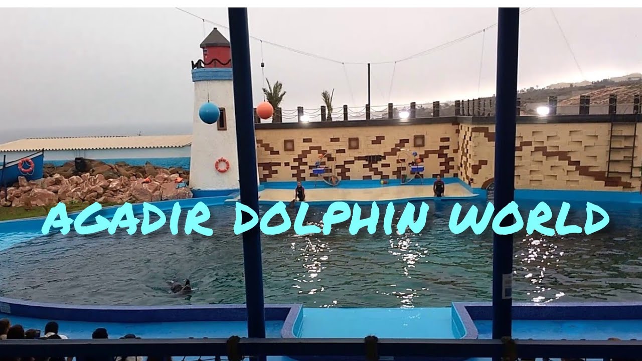 AGADIR  DOLPHIN WORLD 🐬 عالم الدلافين أكادير \ اثمنة الدخول السباحة مع الدلافين اخد صور مع الدلافين/
