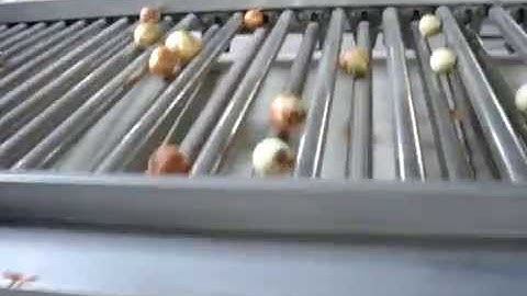 onion  kiwi  mango size sorting /grading machine