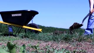 Ames: Right Tool for the Job