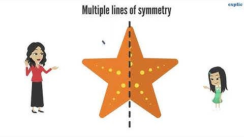 Symmetry & Reflection (CBSE Class 6)