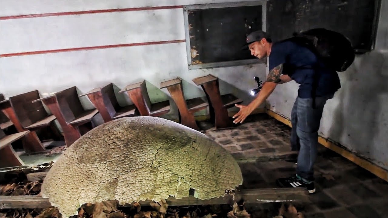 Descubro FÓSIL gliptodonte - Abandonó INTACTO en un PUEBLO de Buenos Aires - Detenido en el Tiempo