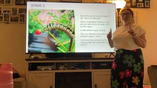 Module 6 Discussion: Animal Life Cycle