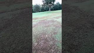 #golf #golfcourse
