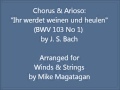 Miniature de la vidéo de la chanson Kantate, Bwv 103 "Ihr Werdet Weinen Und Heulen": I. Coro E Arioso (Basso) "Ihr Werdet Weinen Und Heulen, Aber Die Welt Wird Sich Freuen."