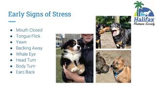 HHS Dog Walking Volunteer Training