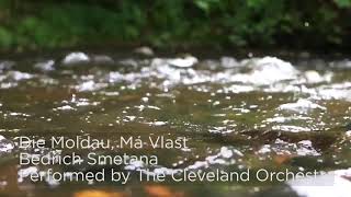 Mindful Moment Smetana