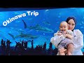 Churaumi Aquarium - White Sand Beach - Tropical Dream Center | Okinawa Travel Vlog