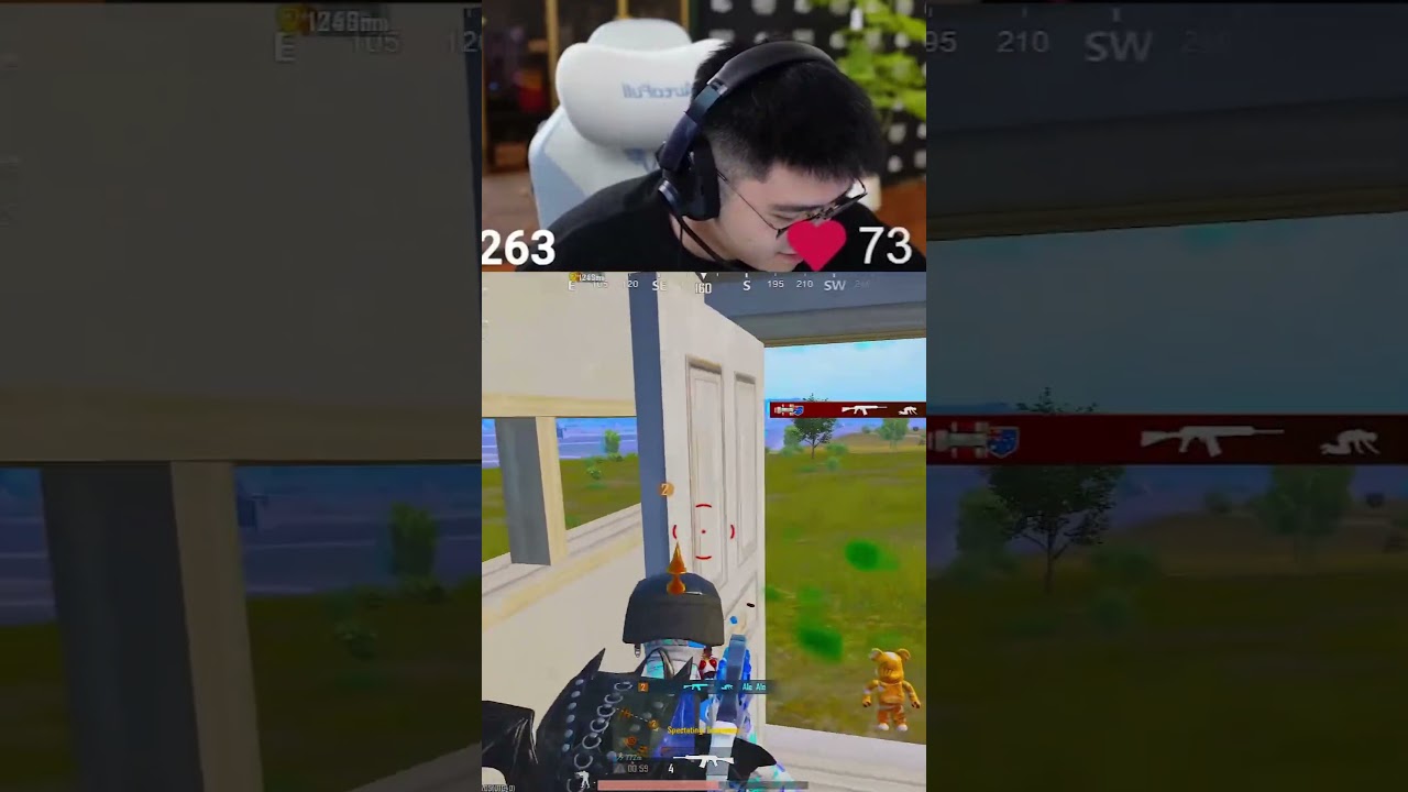 Pro Teammate (Feitz)💀