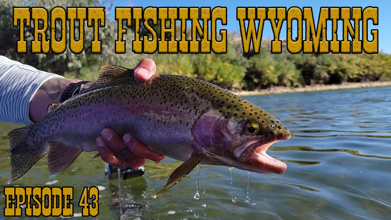 'Trout Fishing Wyoming' Episode 43 Floating The North Platte River Day