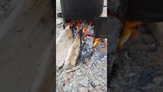 Devrim kokan türküler.