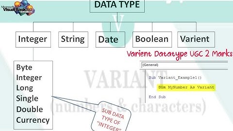 Datatype in Visual Basic | Varient Datatype in vb | Type declaration character| Visual Basic 6.0