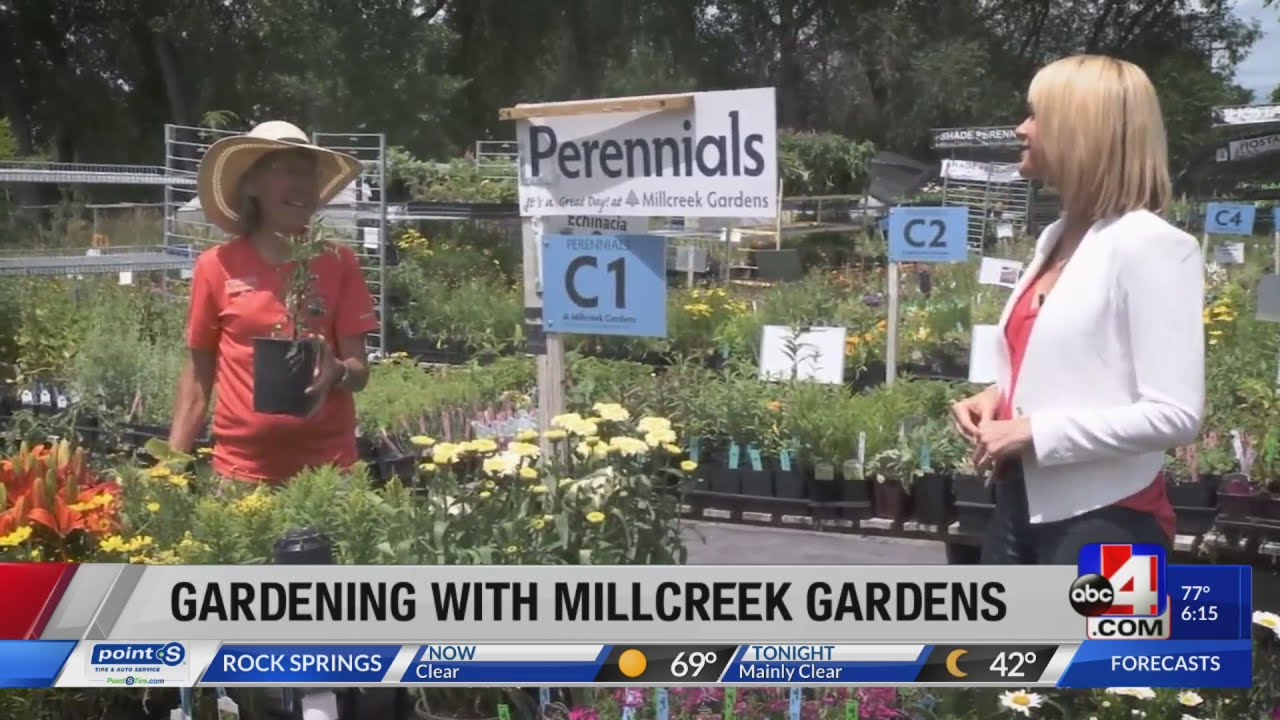 Millcreek Gardens - Kickoff to Summer