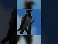 The Ultimate Fight for Survival: Raising a Baby Martial Eagle on the African Savanna 🦅🌍