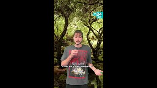 📖 GALICIA | A REAL Academia GALEGA inclúe o termo 'LUBRE' gracias á proposta de LUAR na Lubre