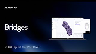 Bridges Workflow