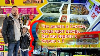 Что делать в Сокчхо (Южная Корея), когда идет дождь. Рыбный рынок. Как мы ездили в Корею ч. 5