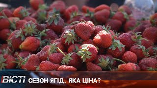 У скільки прикарпатцям обійдуться полуниці та черешні?