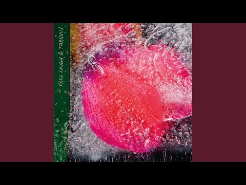 Fake Laugh — We Ride