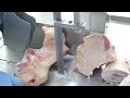 J210/2 bone saw machine