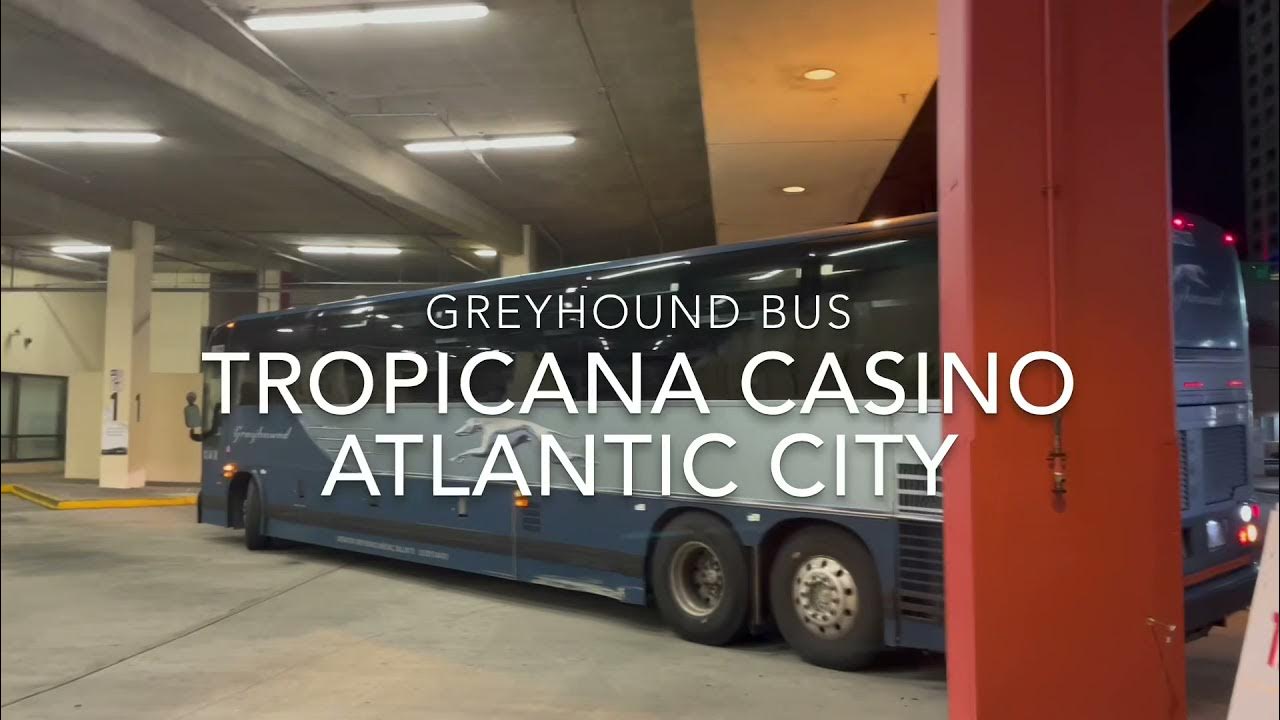 Greyhound Atlantic City YouTube